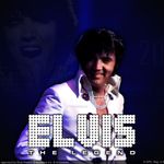 elvis4311
