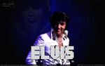 Profil (elvis4311)