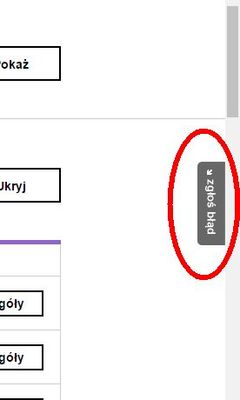 zgłoś błąd.jpg