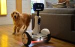 robot-segway-1046x653-1046x653.jpg