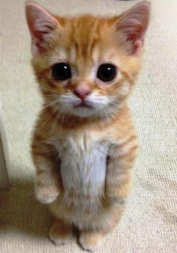 czy można na mnie się gniewać