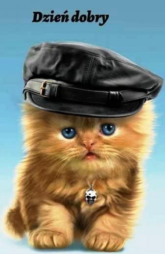 witam wszystkich miło