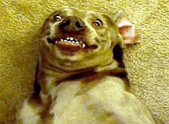 Moja smaczna spiżarnia