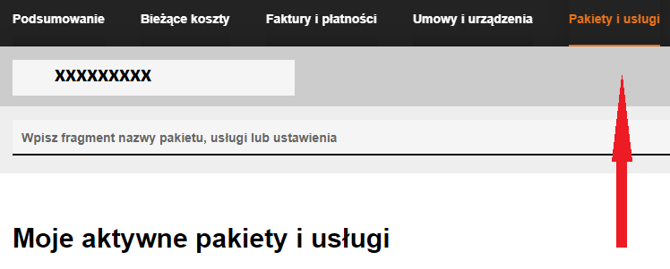 1 pakietyiusługi.PNG