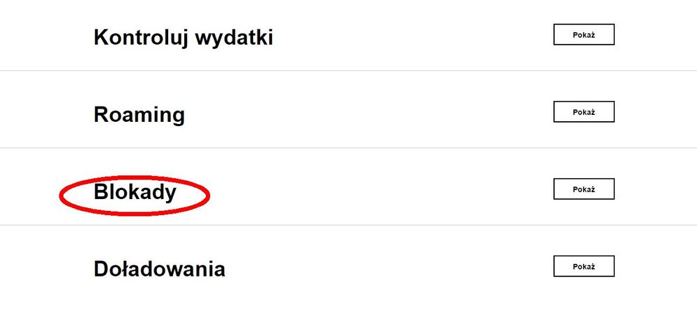 ustawienia blokad2.jpg