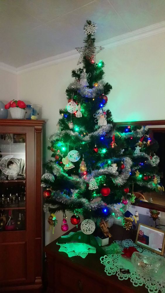 drzewko nr 1 - w domu