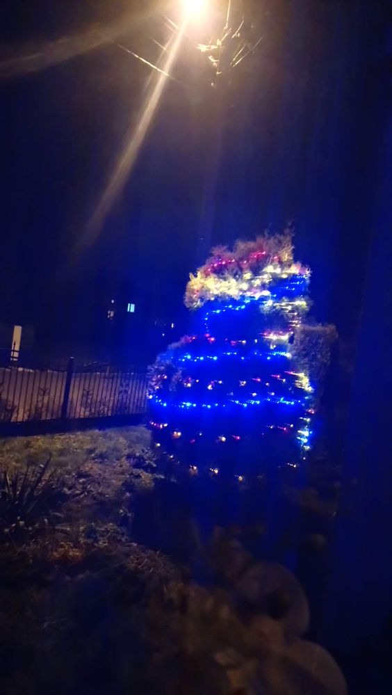 dekoracja w ogródku, prze domem