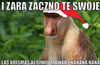 zacno te swoje.PNG