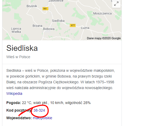 Opera Zrzut ekranu_2020-04-28_133541_www.google.pl.png