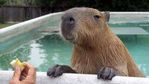 HHZNAJGKPYI6TODGIBWI6S7HAY.jpg