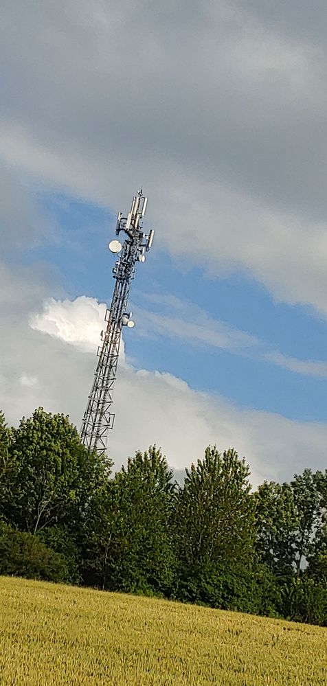 20200707_180939.jpg