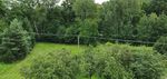 20200723_123320.jpg