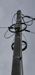 20200723_131715.jpg