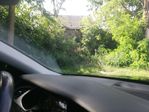 IMG_20200730_162303.jpg