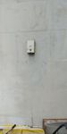 20200802_110312_resized.jpg