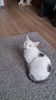 20160226_142229_HDR.jpg