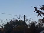 20201024_165059.jpg