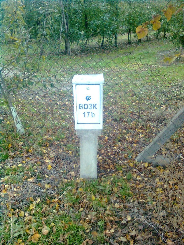 83_1256912647.jpg
