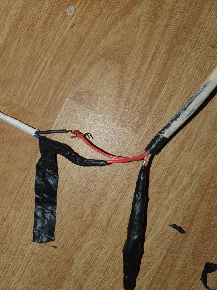 20201211_130106.jpg