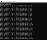 ping z konsoli 4.01.2021.PNG