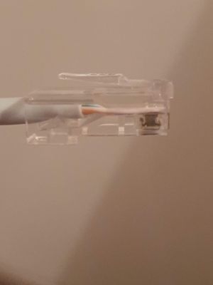 prawidłowo zacisniety wtyk - zyly dochodza do czola wtyku