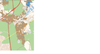 POPC(1).png
