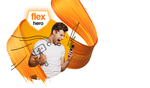 Hero Flex.png