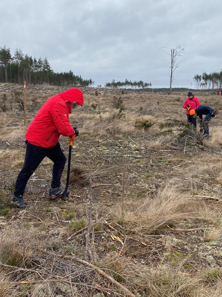 Las Orange Flex 2_r.jpg