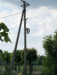 IMG_2145.jpg