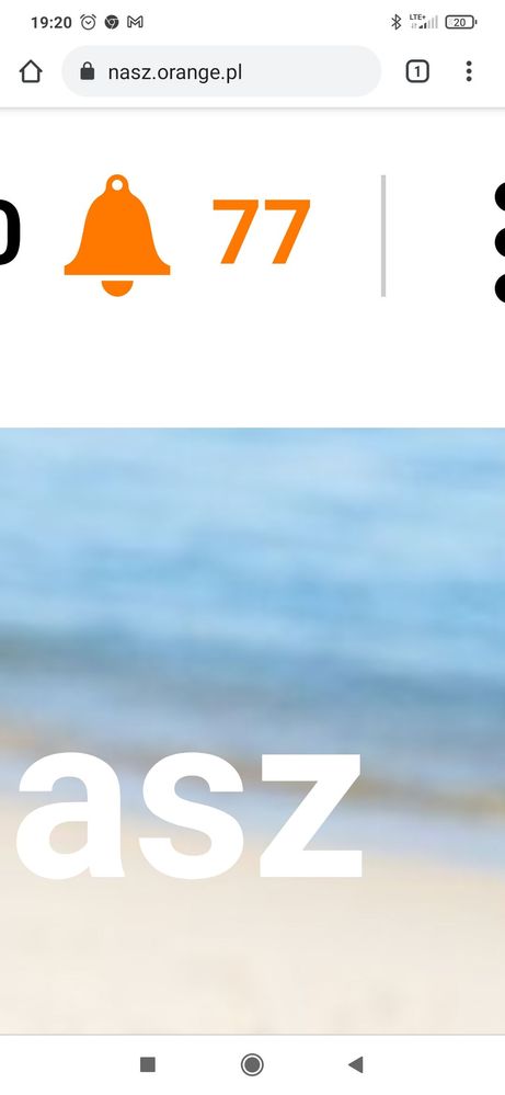 Screenshot_2021-08-30-19-20-03-538_com.android.chrome.jpg