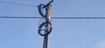 IMG20220109140523.jpg