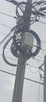 IMG20220123134948.jpg