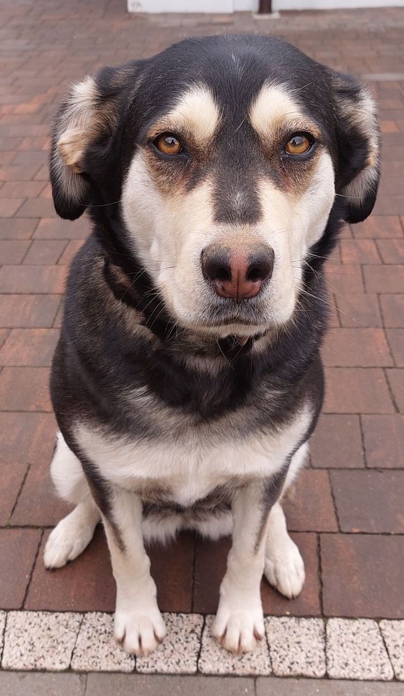 To nie ja zrobiłam....