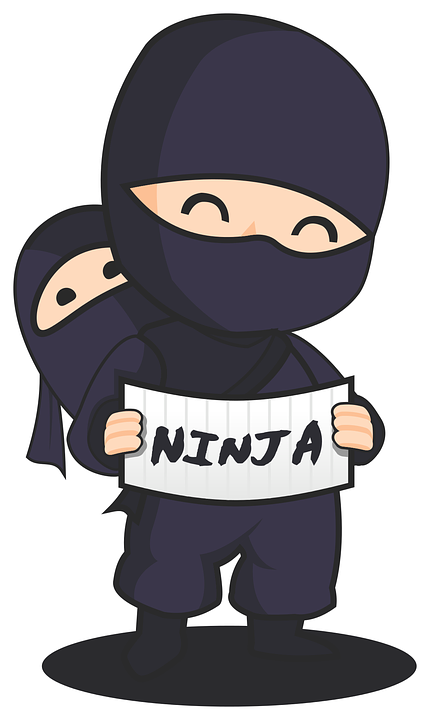 ninja-3106460_960_720.png