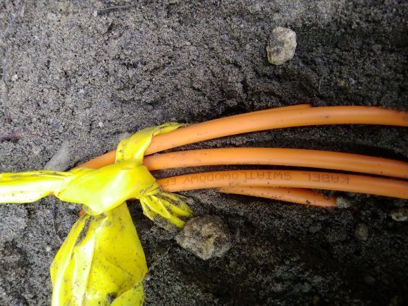 IMG_20220815_101738 (002).jpg