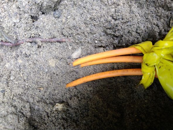 IMG_20220815_101813 (002).jpg