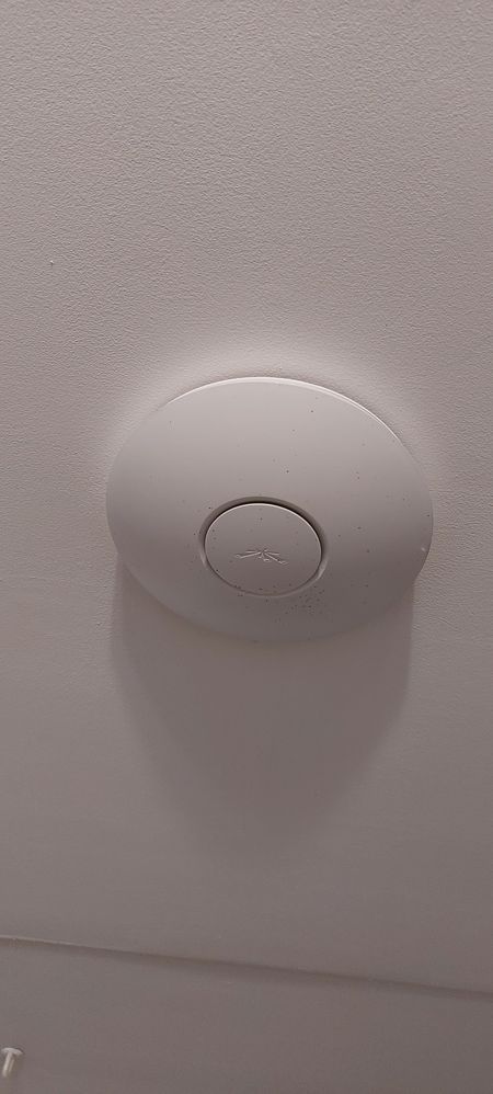 20220901_164210.jpg