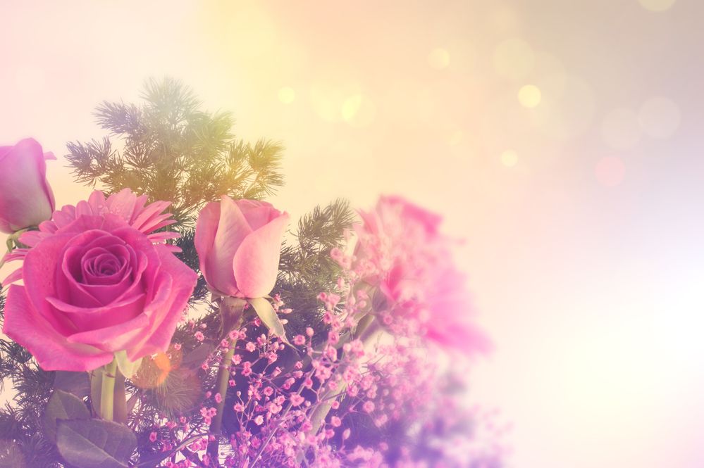 coloured-floral-background.jpg