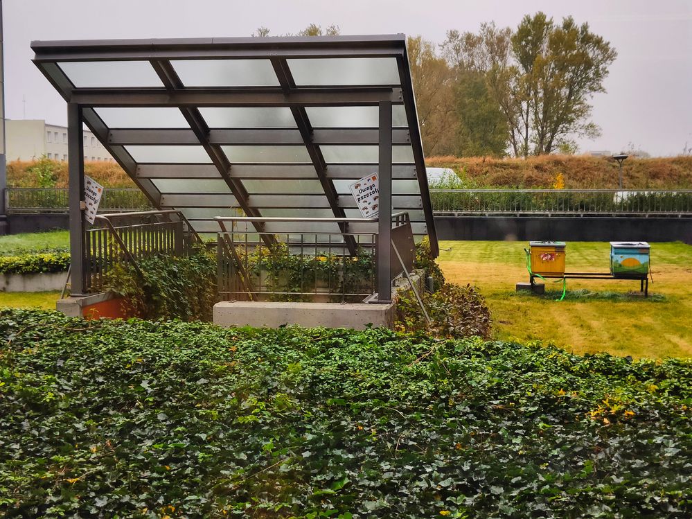 Siedzieliśmy zaraz za pasieką, która jest w Miasteczku Orange.