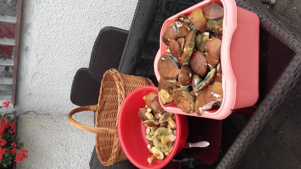 a to po przeczyszczeniu...