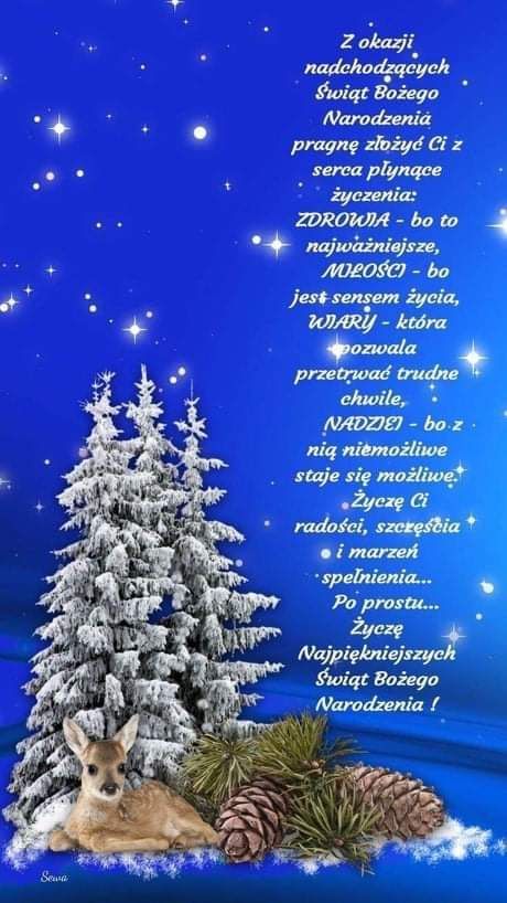 Dla każdego z użytkowników NO oraz Zespołu NO z osobna, i dla wszystkich razem.