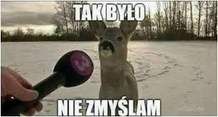 tak było.jpg