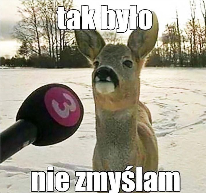 Obrazek.jpeg