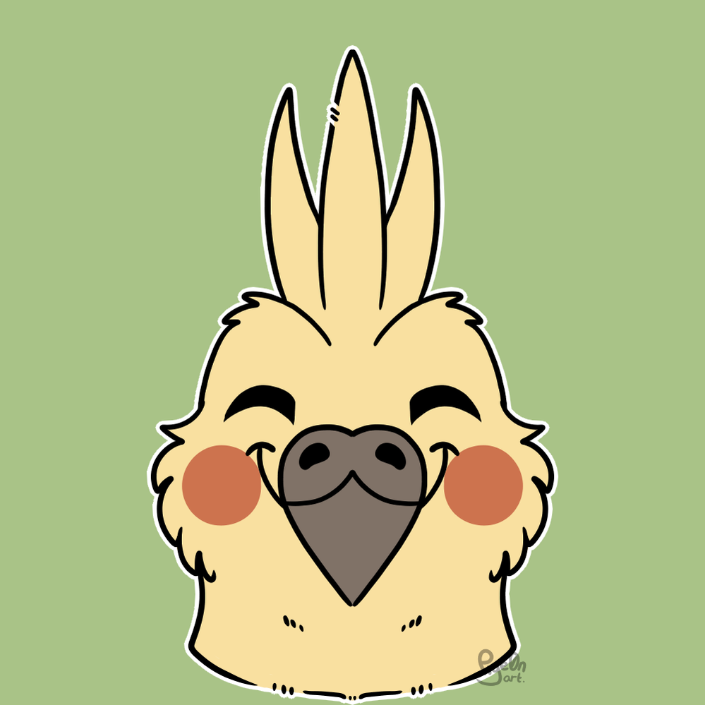 Dima.png