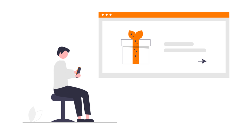 undraw_send-gift_jl1z.png