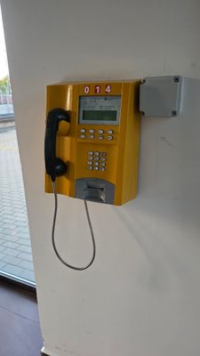 1000028843.jpg