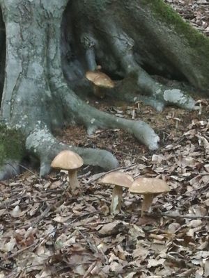 IMG_20260730_183946.jpg
