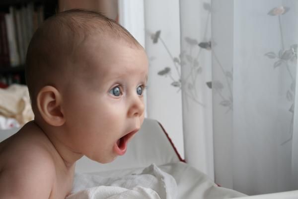 mina zdziwieniowa.jpg