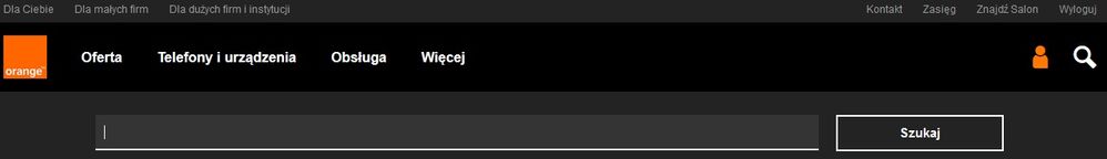 wyszukiwarka portalowa