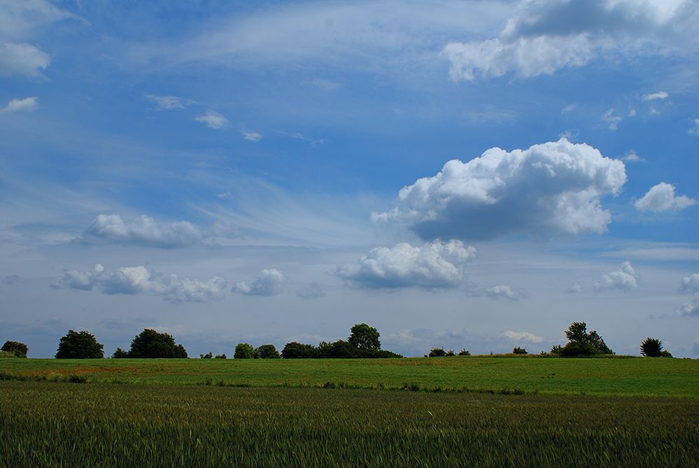 Moja Okolica vs Nikon D80